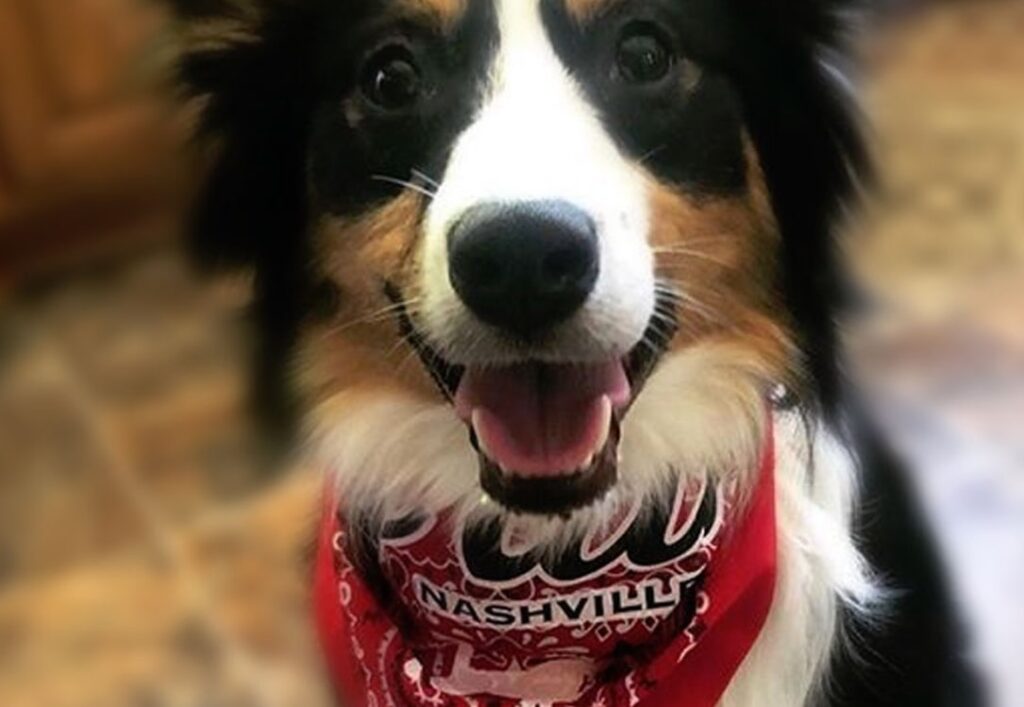 It's A Nashville Thing Y'all Nashville Bandana
